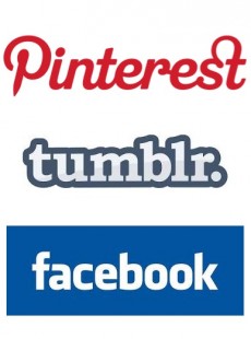 reseaux-sociaux-en-croisade-contre-le-mouvement-pro-ana-41281